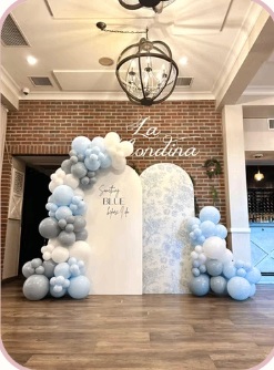 Blue and white double-panel backdrop at an elegant venue