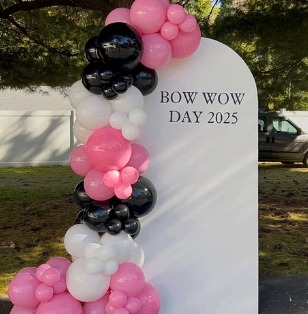 Pink, black and ivory balloon garland beside a white backdrop panel for a community event